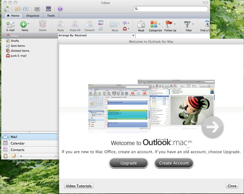 Office Mac Beta