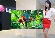 OLED2