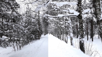 Fotograaf annab nõu: Kuidas teha nutitelefoniga ilusaid talviseid pilte?