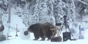 Suur karu üllatab Samsungi EcoBubble reklaami võttegruppi